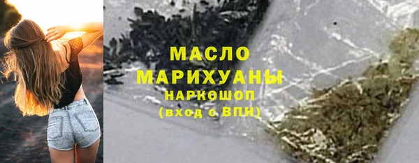 соль ск Ельня
