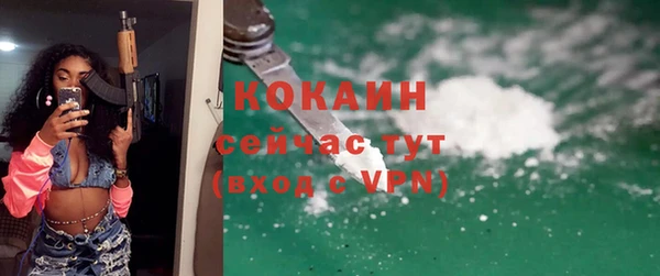 соль ск Ельня