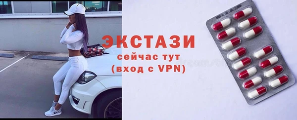 соль ск Ельня