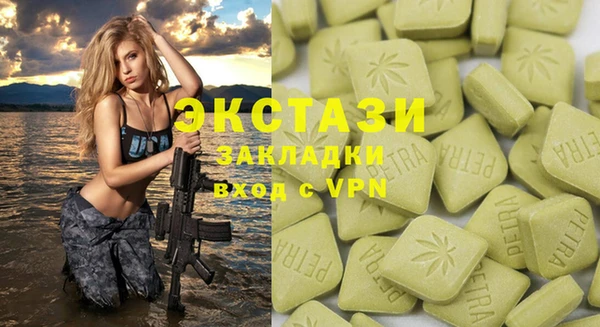 соль ск Ельня