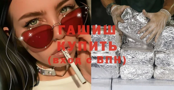 соль ск Ельня