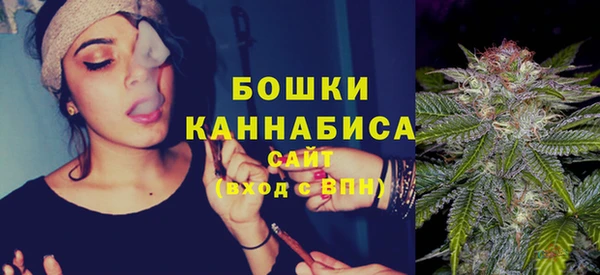 соль ск Ельня