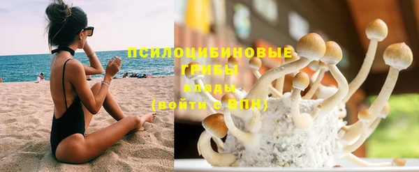 mdpv Елабуга
