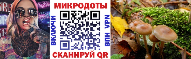 Купить  Лабытнанги  Галлюциногенные грибы мухоморы 