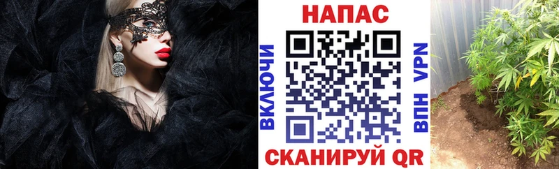 Каннабис White Widow  Купить  Лабытнанги 